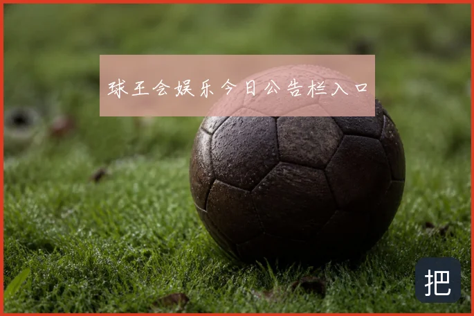 球王会娱乐今日公告栏入口