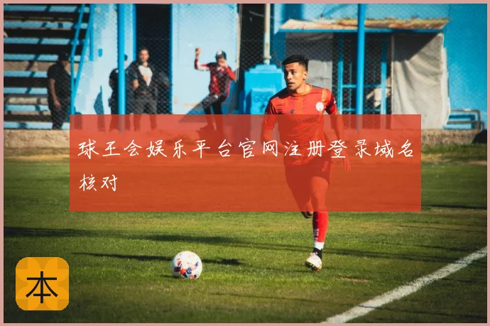 球王会娱乐平台官网注册登录域名核对